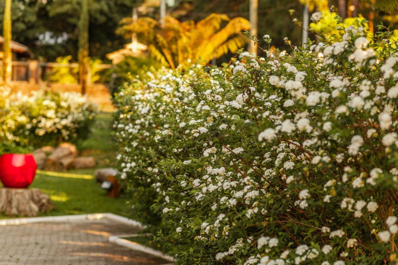 Pousada Betania Gramado Exteriér fotografie